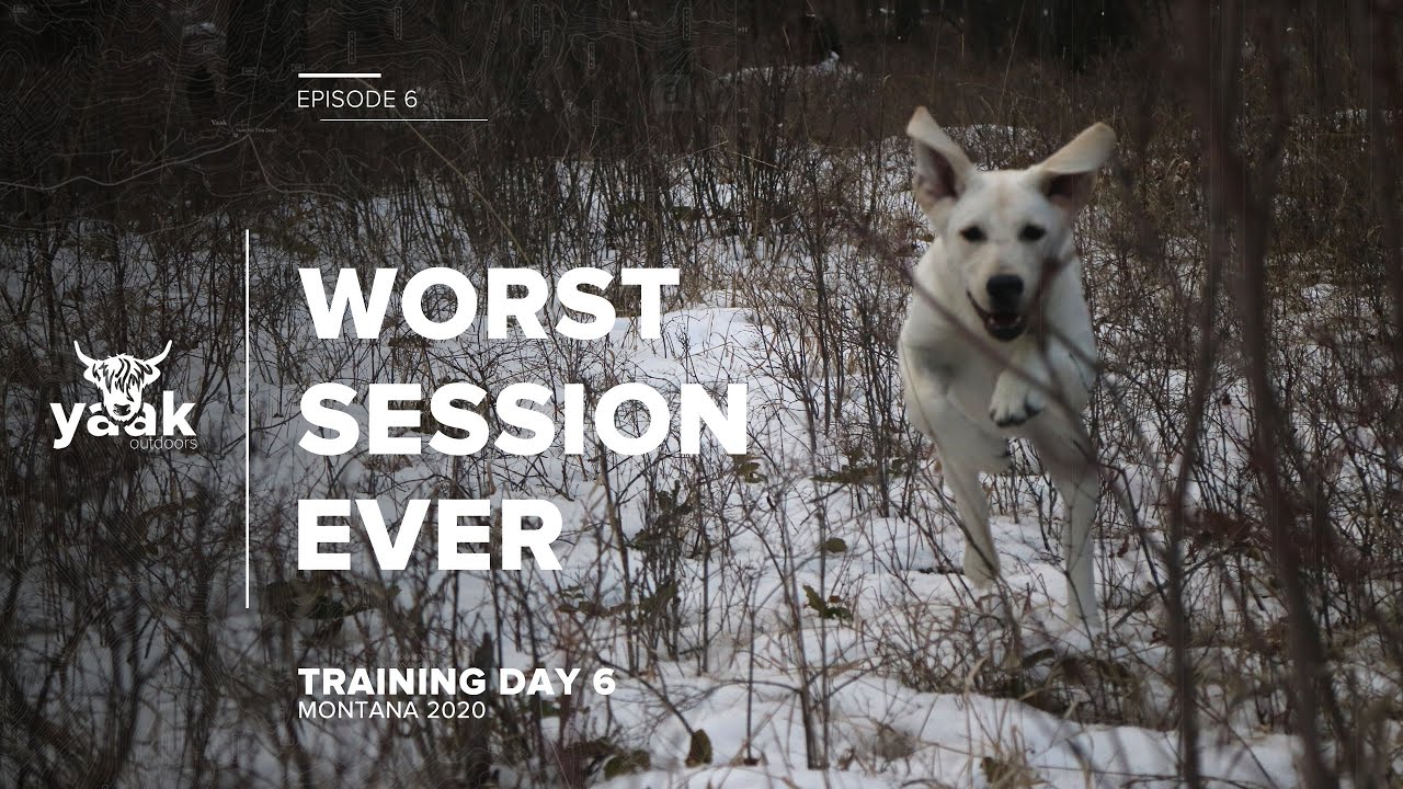 The Episode I Almost Didn't Make